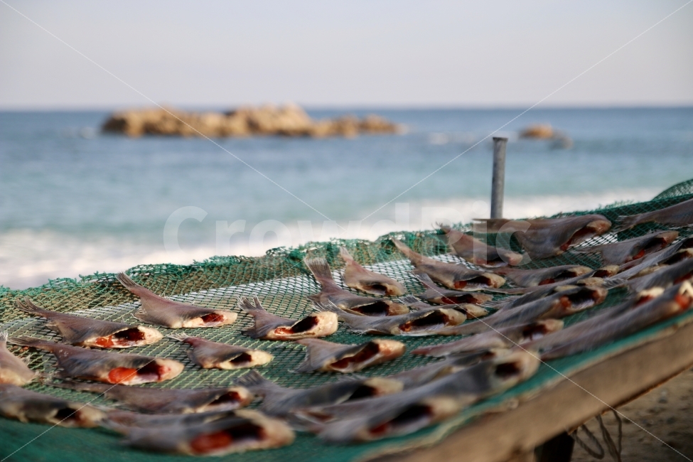 King Munmus tomb,fish,historical site,Daewangam hermitage,history,winter sea,Gyeongju,sea