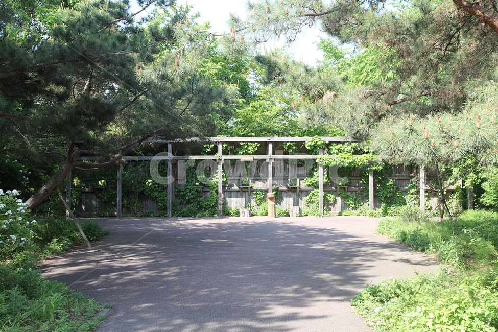생태,자연,숲,나무,잎,산책로,자연,풍경,nature,landscape,garden,정원,outdoors,옥외,arbour,정자,porch,현관,patio,안마당