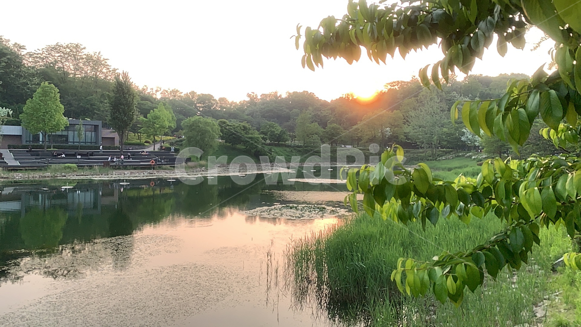 호수,석양,자연,연못,노을,sunset,공원,park,lake,nature,감성,저수지,pond
