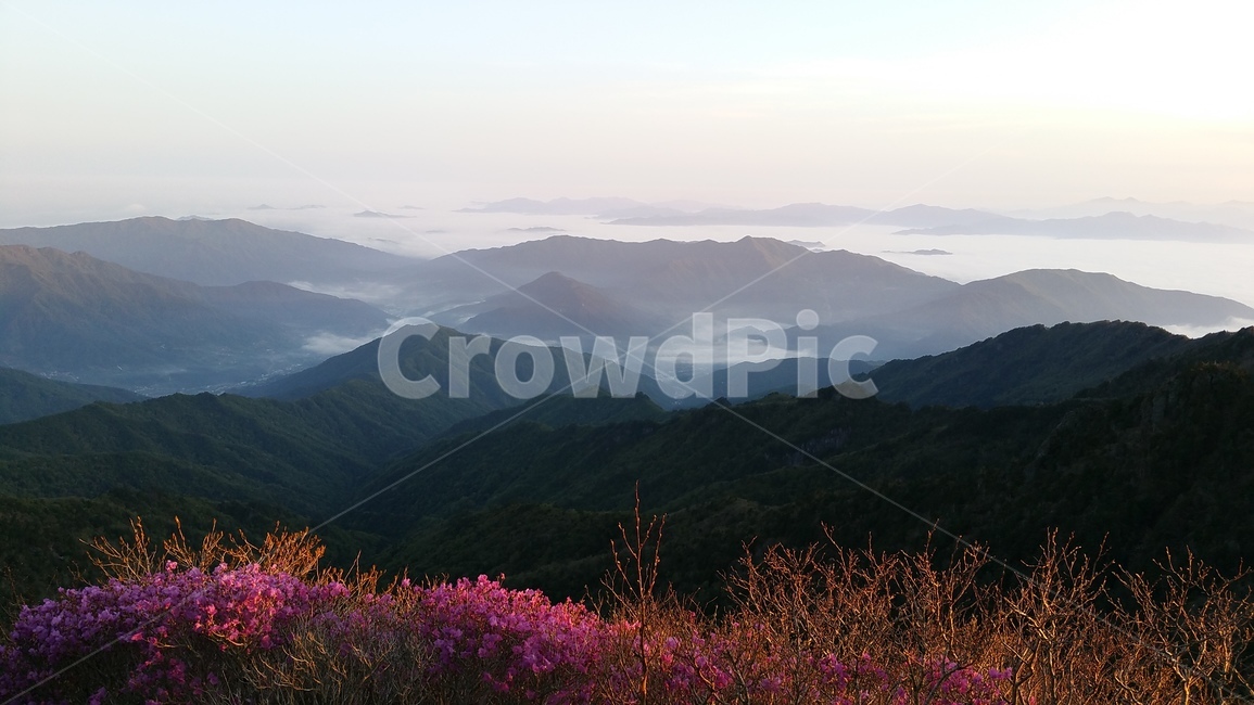 지리산,천왕봉,진달래,운해,일출,아침햇살,지리십경,자연,풍경,nature,landscape,mountain range,산맥,outdoors,옥외,mountain,산