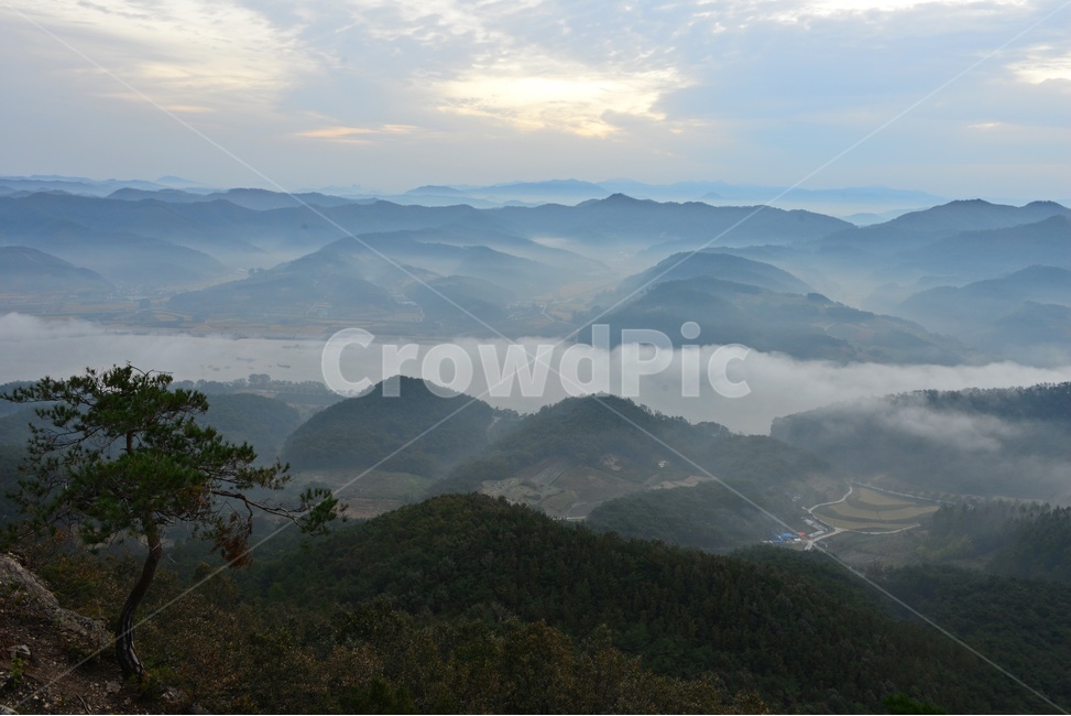임실,국사봉,국사봉일출,여명,아침,해돋이,운해,소나무,nature,자연,mountain,산,mountainrange,산맥,outdoors,옥외,자연,풍경,nature,landscape
