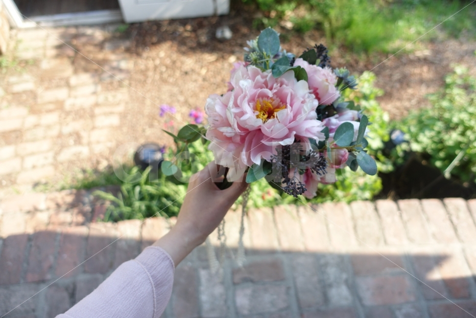 손,꽃,봄,봄날,빛,햇살,분홍,핑크,싱그러움,식물,자연,plants,nature,꽃,flower,사람,인물,인간,human,person,신체일부,몸,body