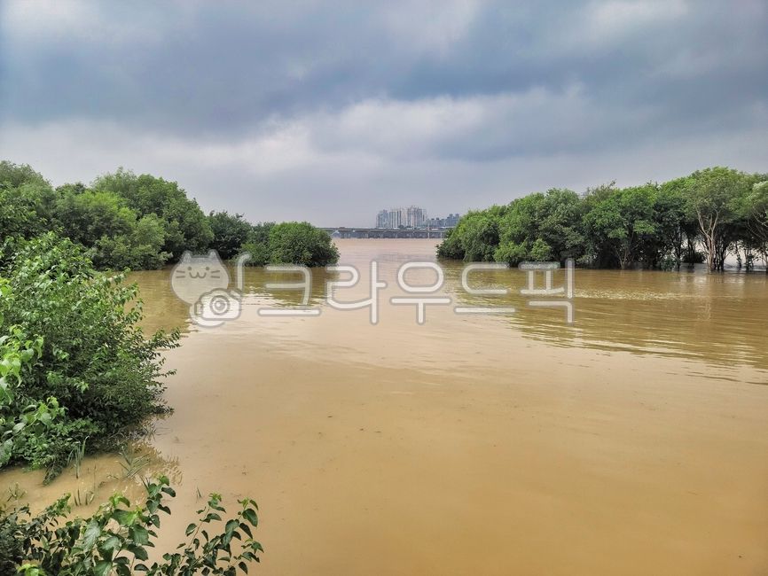 flood,홍수,water,물,한강,하늘,구름,나무,흙탕물,river,sky,cloud,tree