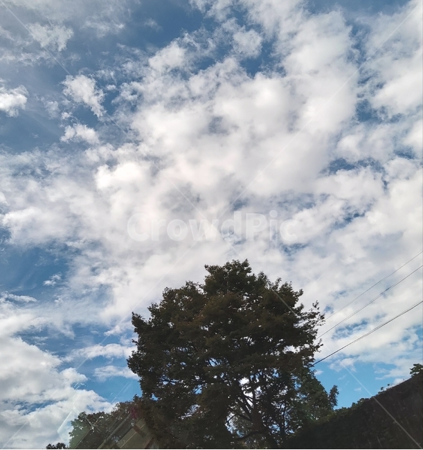 자연,outdoors,구름,nature,cloud,자연,풍경,nature,landscape