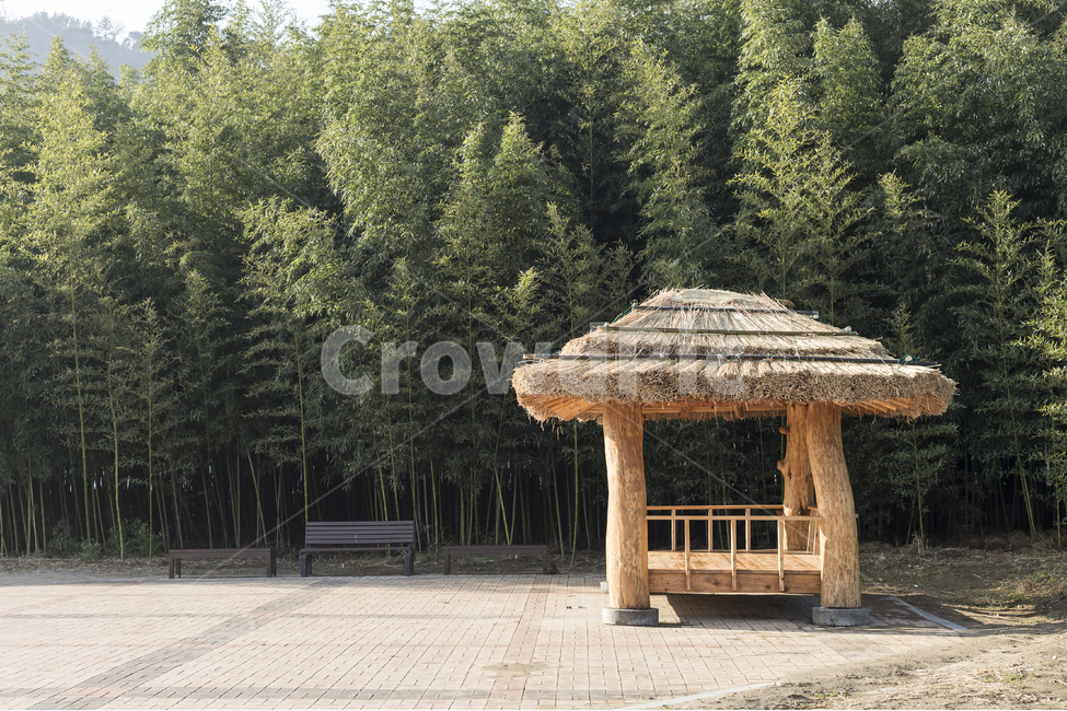 대나무,공원,숲,산책,집,나무,자연,녹색,바탕화면,노란색,색,자연,풍경,nature,landscape,한국자연풍경,한국자연경관,korea nature landscape,plant,식물,tree,abies,아비,fir,전나무,furniture,가구,bench,벤치