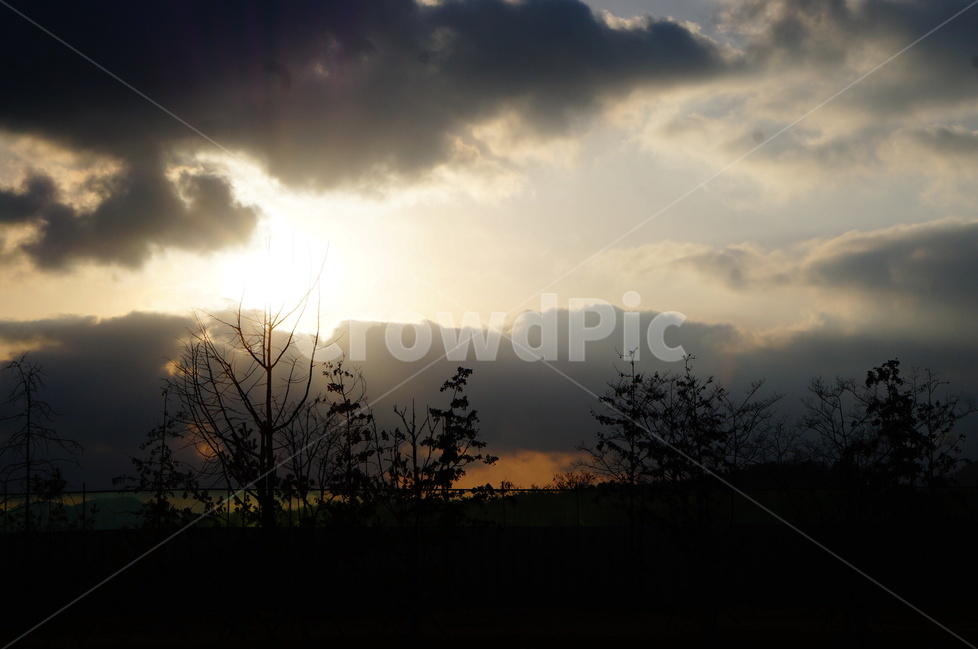 일몰,나무,구름,해,겨울,풍경,자연,풍경,nature,landscape,flare,플레어,light,빛,weather,날씨,outdoors,옥외