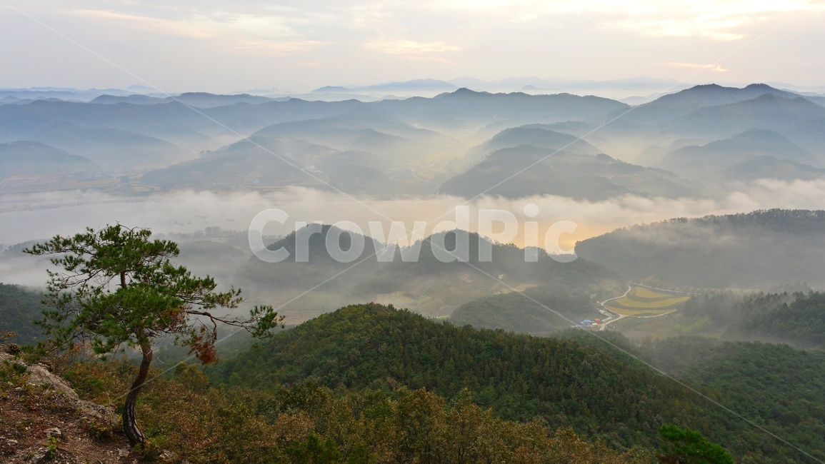 임실,국사봉,국사봉일출,여명,아침,해돋이,운해,소나무,nature,자연,mountain,산,mountainrange,산맥,outdoors,옥외,자연,풍경,nature,landscape