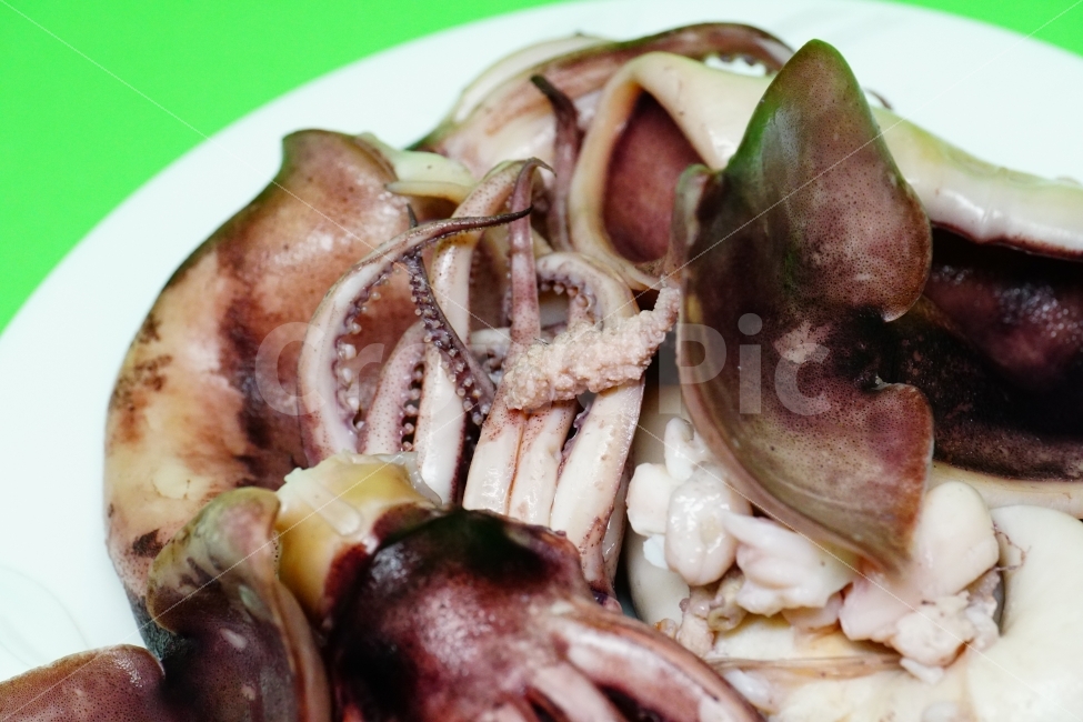 오징어,음식,요리,식사,메뉴,수산물,해산물,seafood,씨푸드,food,안주,술안주,맛있다,맛있는,반찬,레시피,cook,meal,dessert,디저트,dish,접시,맛집,물고기,식자재,식재료,후식,간식,칼로리,영양가,식단,건강,원기,기운,누끼,누끼사진,컨셉,콘셉,concept,해물요리,해물,eat,먹거리,먹을거리,사물,물건,오브젝트,object,recipe,식품,식료품,음식,식재료,요리,food,cook,meal,dishes,food reserves,수산물,해산물,fishery products,seafood