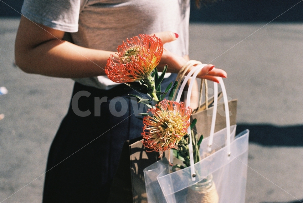 꽃,식물,오렌지,컬러,여름,자연,계절,flower,plant,nature,season,summer,filmphotography,감성,식물,자연,plants,nature,꽃,flower,사람,인물,인간,human,person,신체일부,몸,body,여성,여자,woman,female,lady,감성,sensible,feeling
