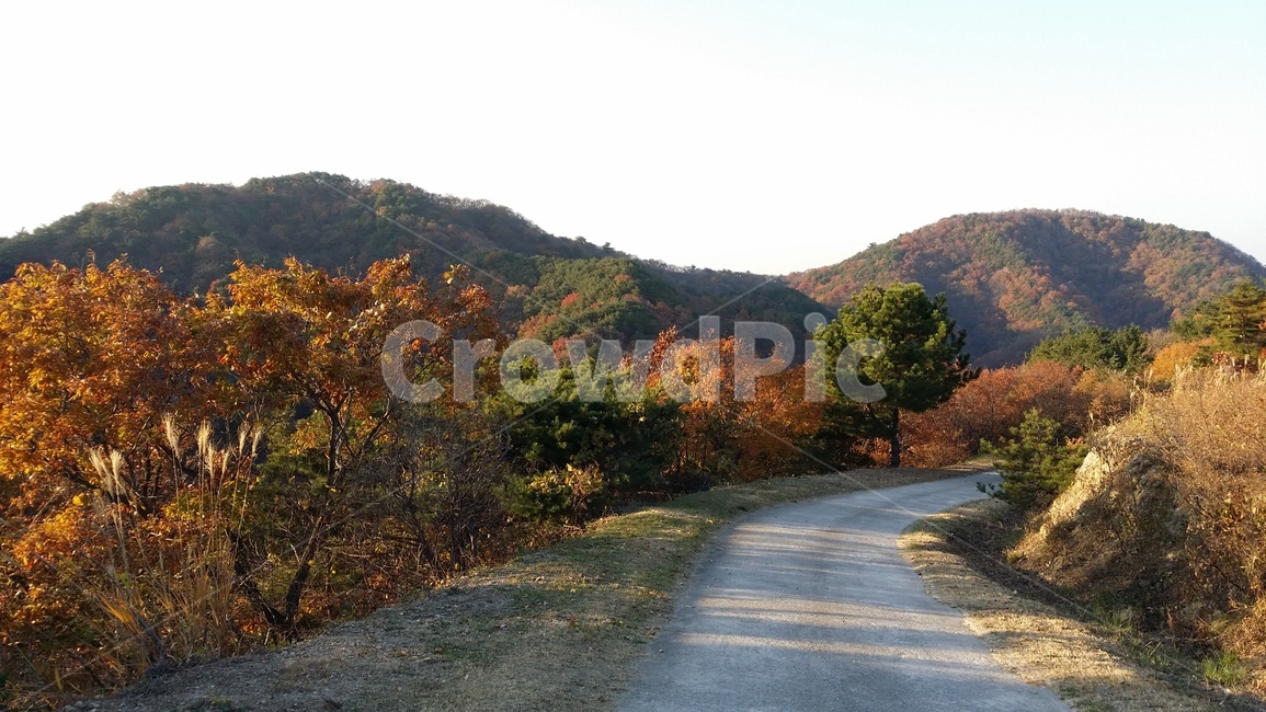 길,가을길,자연,단풍길,가을산책,가을나,산길,가을날