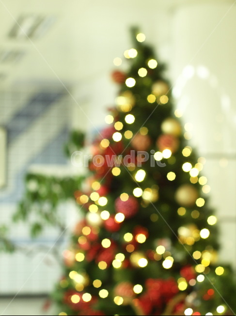 christmastree,크리스마스트리,ornament,장식,plant,식물,tree,나무,보케,겨울,계절,winter,season,메리크리스마스,성탄절,merry christmas