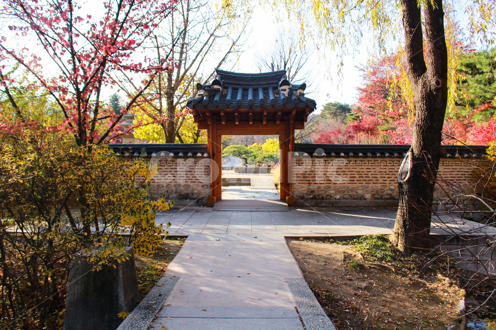 정원,마당,garden,가을,한옥마을,담장,한옥,궁,palace,한국전통,한국문화,koreantraditional,koreanculture,korean,나무,단풍,갈색,아름다운,햇살,햇빛,brown,문,door,entry,입구,출구,기와,알록달록한,colorful,기왓장,기와집,절,temple
