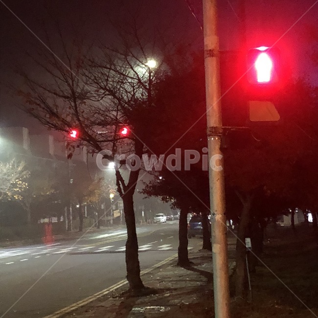 횡단보도,신호등,빨간불,감성,밤,야경,밤,풍경,nightscape,night,landscape,교통,교통수단,traffic,transportation