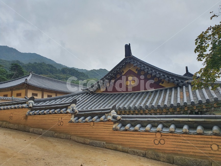 roof,지붕,해인사,팔만대장경,하늘,미세먼지,한옥,기와지붕,기와,가야산,나무,땅,흙길,길,lode,먼산