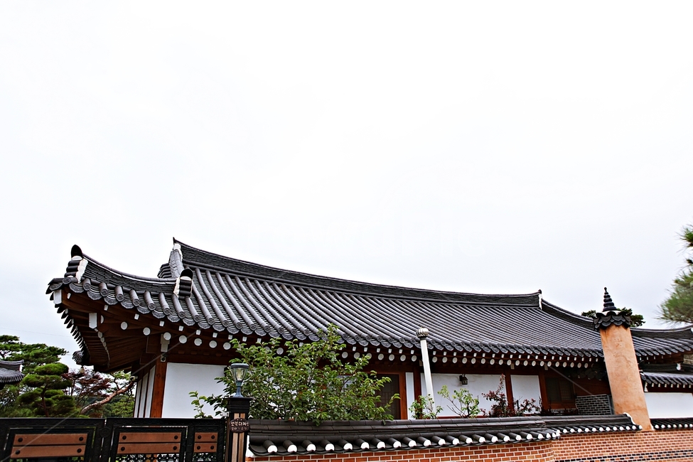 한옥,한옥집,전통집,기와집,집,풍경,기와