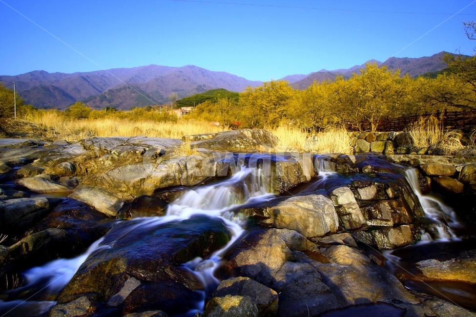 산수유,구례,산동면,봄,반석마을,봄,계절,spring,season,자연,풍경,nature,landscape,한국자연풍경,한국자연경관,korea nature landscape,water,물,outdoors,옥외,river,강