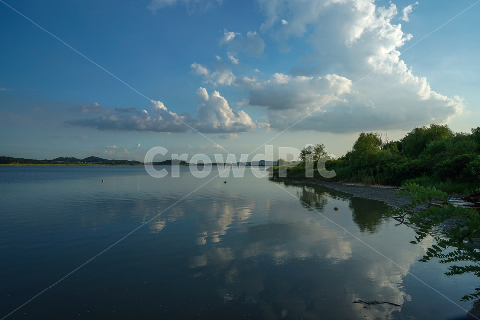 바다,구름,하늘,반영,해변,나무,숲,자연,풍경,nature,landscape,outdoors,옥외,water,물,weather,날씨,cumulus,적운,sky,cloud
