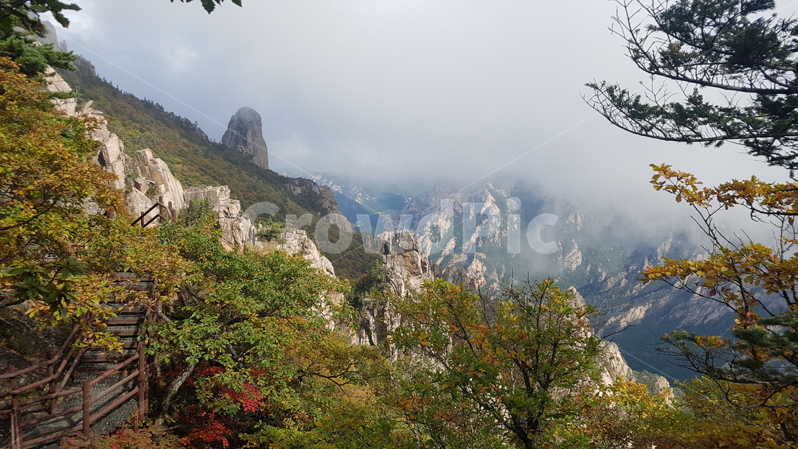 설악산,공룡능선,세존봉,가을,운해,자연,풍경,nature,landscape,한국자연풍경,한국자연경관,korea nature landscape,outdoors,옥외,plant,식물,tree,나무,mountain,산,mountain range,산맥