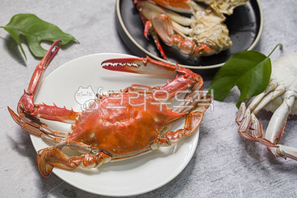 꽃게,숫꽃게,활꽃게,제철꽃게,가을꽃게,해산물,갑각류,꽃게찜,게찜,집게다리,게살