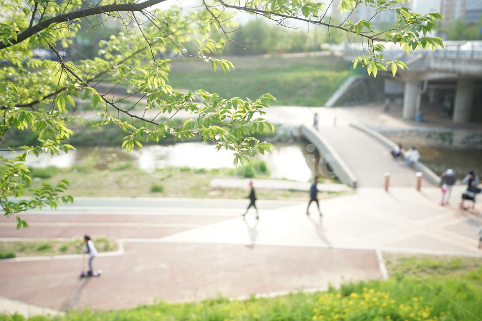 산책,나들이,봄,계절,자연,풍경사진,풍경,봄나들이,봄산책,공원,강변,길,여유,신록,녹색,그린,나무,식물,자연,plants,nature,나무,trees,wood,사람들,대중,군중,other people,crowd