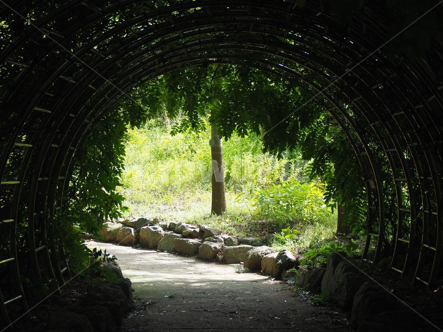 arbour,정자,outdoors,garden,정원,porch,현관,patio,등나무터널