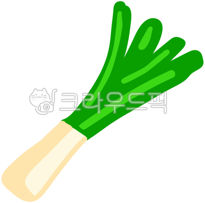 파, 대파, 봄파, 채소, 신선한농산물, 사진,이미지,일러스트,캘리그라피 - passion작가