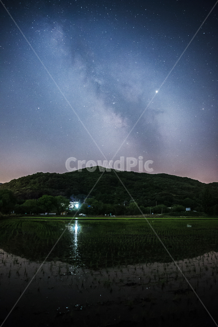 은하수,하늘,맑은날,별,나무,자연,풍경,nature,landscape,한국자연풍경,한국자연경관,korea nature landscape,야경,밤,nightscape,night,outdoors,옥외