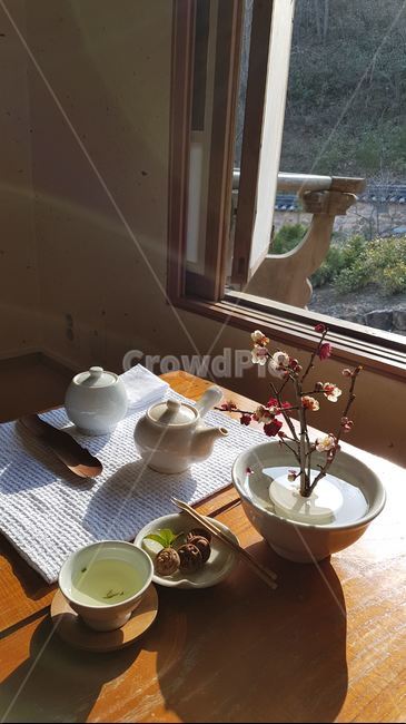 다기,봄,꽃,차,햇살,매화,생명력,받침접시,도기류,pottery,식물,plant,blossom