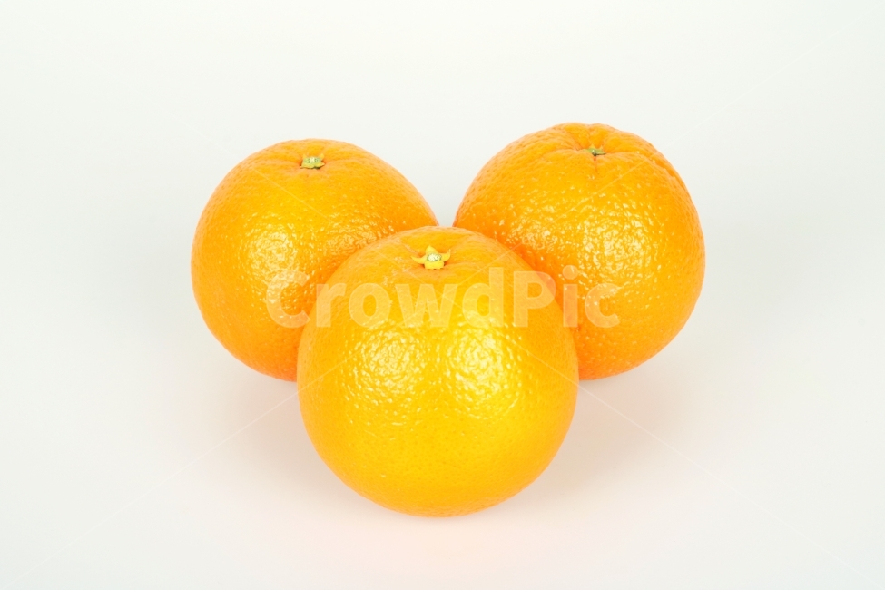 오렌지,과일,생과일,음식,디저트,웰빙,식물,열매,다이어트,컨셉,콘셉,다울,음식,식재료,요리,food,cook,meal,dishes,food reserves,과일,열매,fruit,누끼,remove background