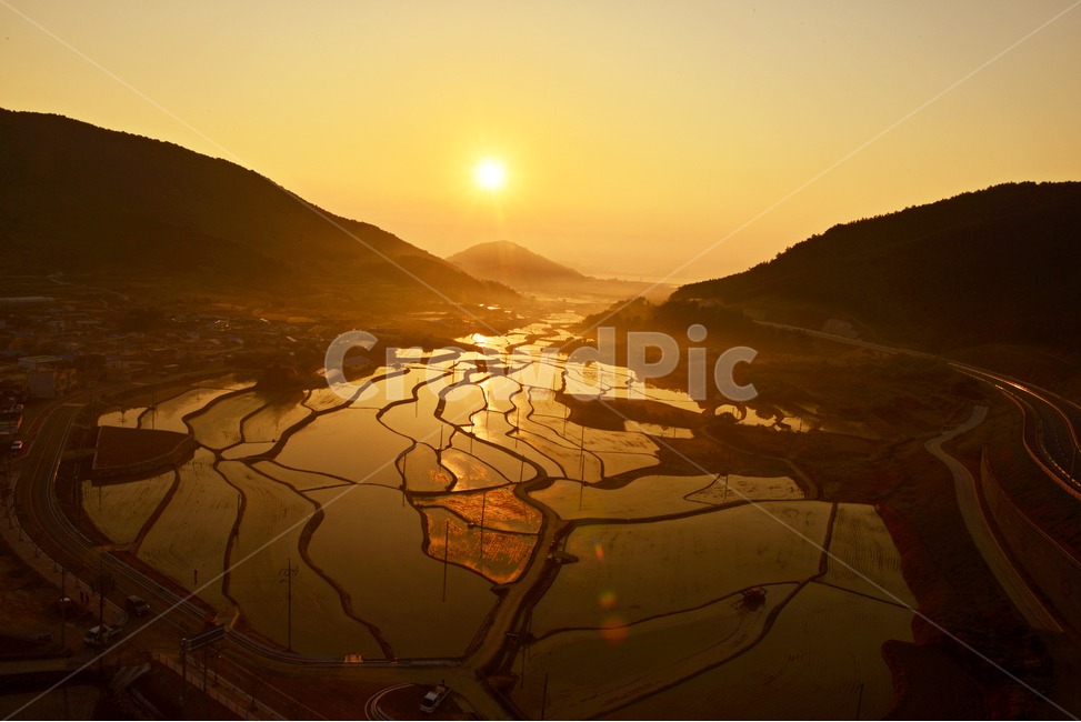 여수,묘도,묘도아침,묘도일출,논,경관,flare,플레어,light,빛,outdoors,옥외,scenery,풍경,nature,자연,landscape,경치,해돋이,자연,풍경,nature,landscape