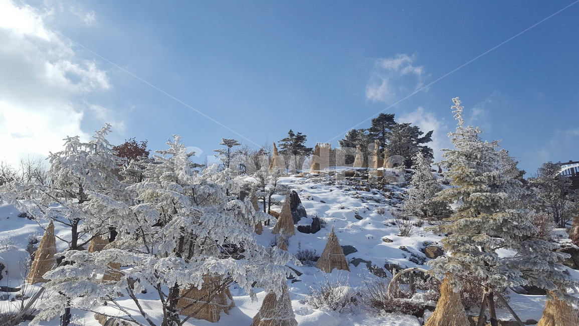 하늘,눈,눈꽃,나무,겨울,짚,겨울,계절,winter,season,자연,풍경,nature,landscape,plant,식물,tree,fir,전나무,outdoors,옥외