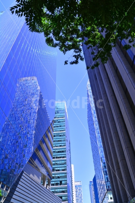 빌딩,비즈니스,중심가,금융가,증권가,첨단,초고층,사업,대기업,회사,부동산,임대,매매,오피스텔,오피스가,비지니스,샐러리맨,임직원,인텔리전트,시안,디자인,사보,카다로그,홈페이지,기업,스카이라인,콘텐츠,마케팅,편집,출판,배경,바탕,백그라운드,background,하늘,블루톤,파랑,유리창,반사,건축,건축미,홍보용,인쇄용,뉴스레터,자료,리스,오너,ceo,sns,building,skyline,모바일,배너,웹,현대적,사장,회장,그룹,증권,서울,seoul,grass,사무실,브로셔,서적,책자,단행본,건물,업무용,고층빌딩,concept,컨셉트,컨셉,콘셉,상징,현대식,도시,풍경,city,landscape,건축물,건물외관,exterior,building,structure,architecture,construction,비즈니스,사업,business,service,work,금융,돈,finance,banking,money,office building,사무실 건물