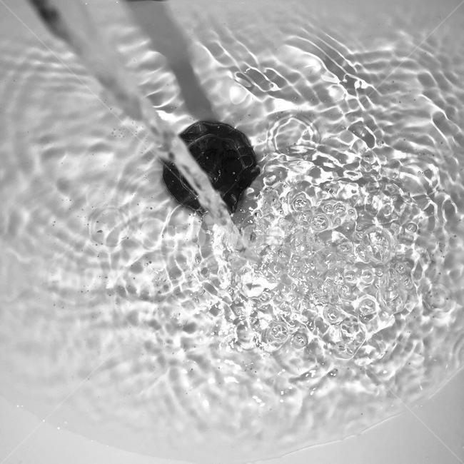 감성,물,흐름,sensitivity,세면대,water,세면대분수쇼,흑백,모노톤,monochrome,black and white,연출,컨셉,콘셉,direction,concept