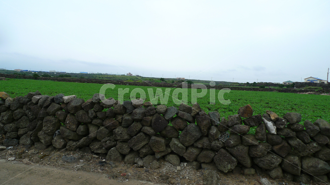 돌담,돌담길,녹색,제주도,풍경,jeju,jejuisland,landscape,벽,wall,stone,시골,town,제주도,jeju,jeju island