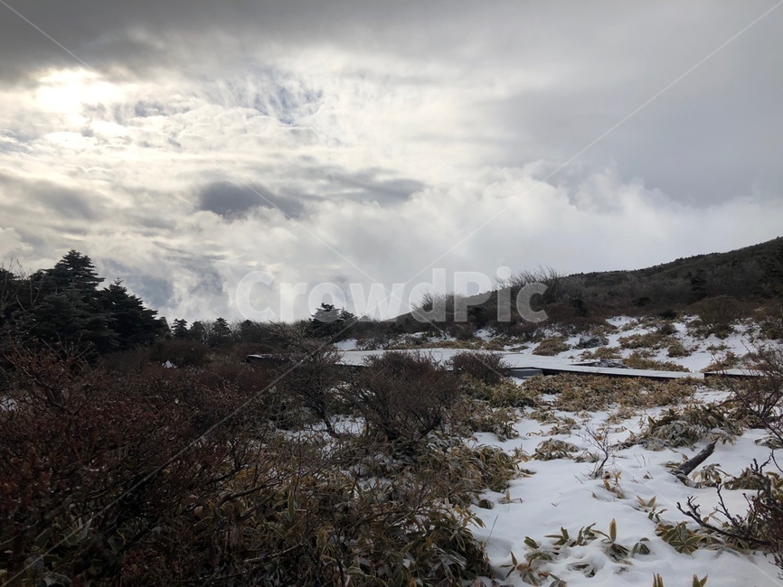 한라산,hallamountian,설산,성판악,눈오는한라산,겨울,계절,winter,season,자연,풍경,nature,landscape,outdoors,옥외