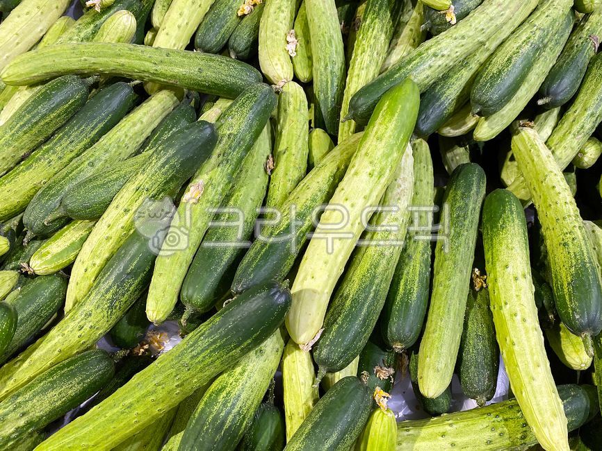 오이,채소,건강식품,음식,식재료,음식재료,야채,식물,초록색