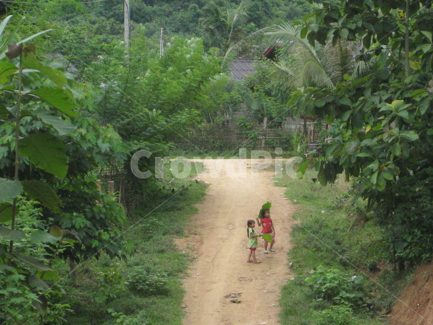 시골,rural,동남아,자연,nature,green,초록색,그린,토란잎,children,아이들,농촌,순수,어린이