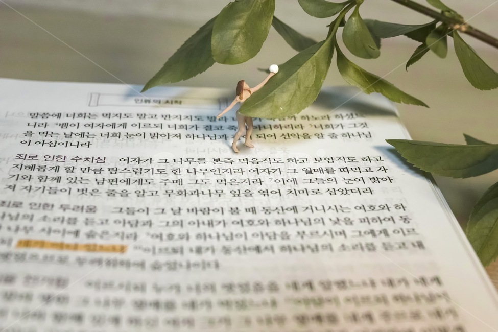 성경,창세기,아담,하와,이브,선악과,bible,holybible,genesis,묵상,말씀,말씀묵상,식물,자연,plants,nature,조각상,동상,석상,조형물,statue,bronze statue,stone statue,종교,신앙,religion,belief,faith,사물,물건,오브젝트,thing,object,matter,연출,컨셉,콘셉,direction,concept