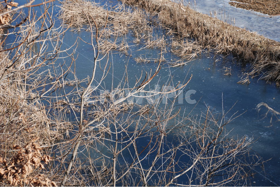 겨울,얼음,겨울논,추움,황량함,풍경,겨울,계절,winter,season