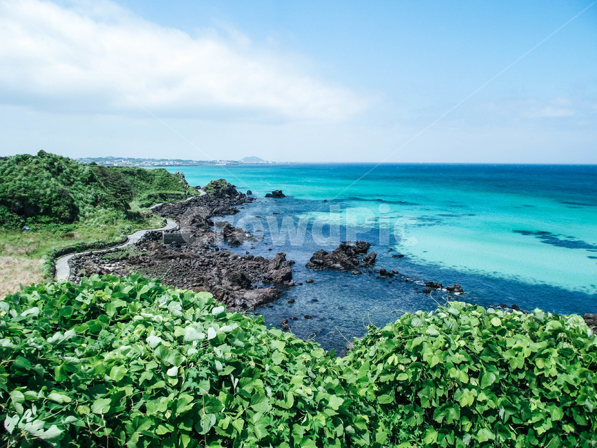제주도,해안,해변,자연,풍경,제주,하늘,제주바다,자연,풍경,nature,landscape,제주도,jeju,jeju island,promontory,곶,land,땅,outdoors,옥외