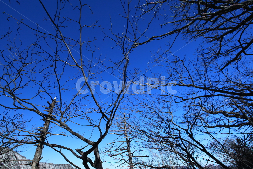 설악산,겨울산,파란하늘,겨울나무,능선,대청봉,겨울산행,등산