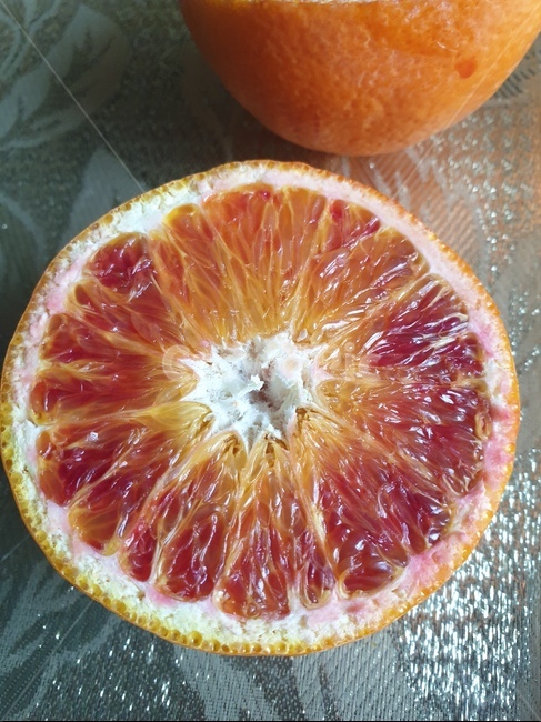 grapefruit,그레이프프루트,citrusfruit,감귤류과일,식물,fruit,과일,food,음식,블러드오렌지