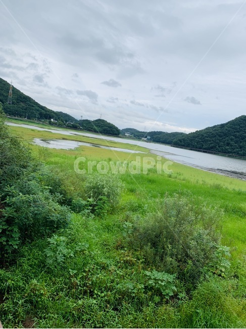 field,목초지,grassland,들,자연