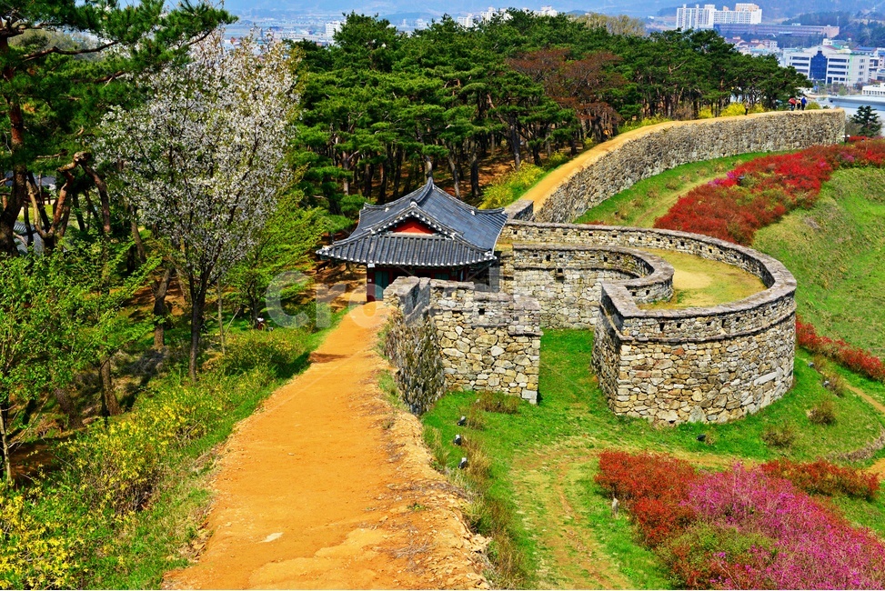 고창,고창읍성,모양성,봄,벚꽃,철쭉,철쭉꽃,계절,scenery,풍경,landscape,경치,nature,자연,outdoors,옥외,plant,식물,flower,blossom,꽃,human,인간,person,사람