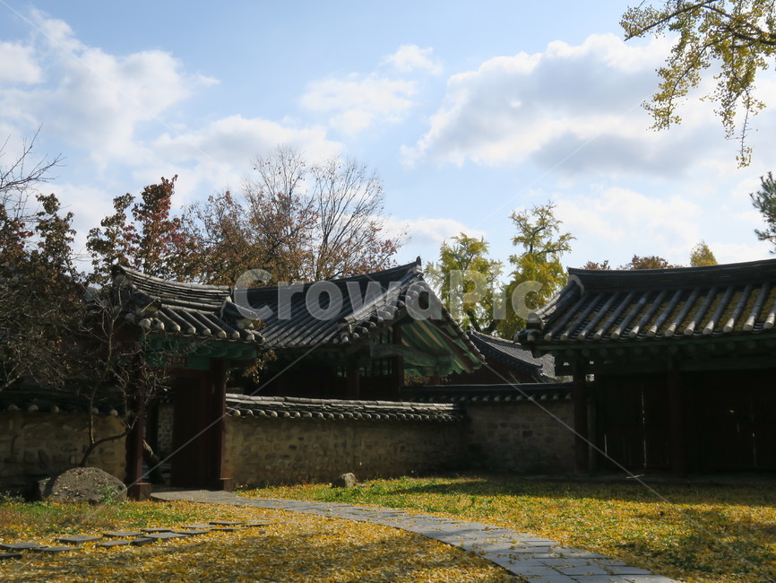 전주,전주향교,마당,patio,한옥,전통가옥,한옥마을