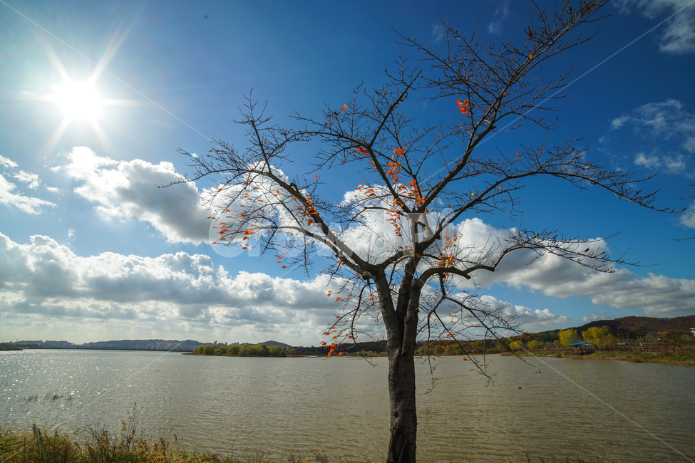 호수,나무,단풍,가을,하늘,구름,계절,가을,계절,fall,autumn,season,자연,풍경,nature,landscape,나무,trees,wood,light,빛,flare,플레어