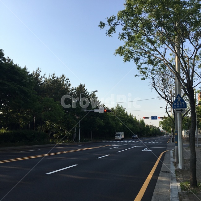 햇빛,도로,차도,나무,풍경,낮,오전,하늘,도로등,산책