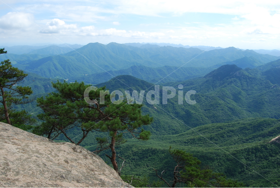 산,하늘,나무,탐방로,자연,자연,풍경,nature,landscape,한국자연풍경,한국자연경관,korea nature landscape,outdoors,옥외,mountain,mountain range,산맥