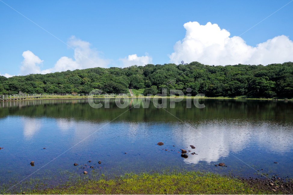 제주도,자연,풍경,jejuisland,jeju,호수,하늘,구름,반영,고요함,정적,사라오름,lake,sky,cloud,reflection,calm,silence,oreum,자연,풍경,nature,landscape,water,물,outdoors,옥외,animal,동물,bird,새