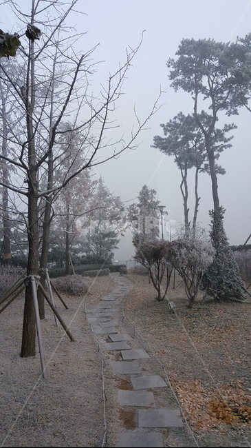 겨울,나무,겨울길,풍경,서리,돌길,겨울,계절,winter,season,자연,풍경,nature,landscape,ground,바닥,outdoors,옥외